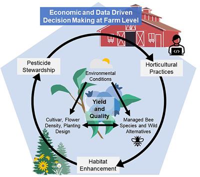 Toward evidence-based decision support systems to optimize pollination and yields in highbush blueberry